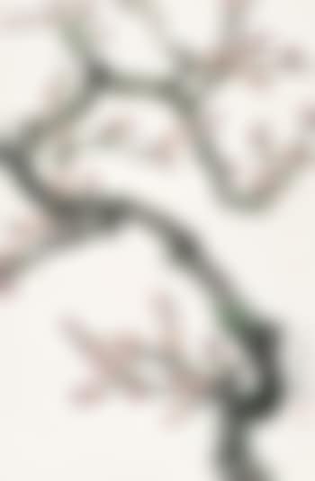 Red plum (preview)