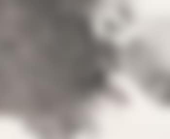 Lotus (preview)
