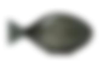 Fish (preview)