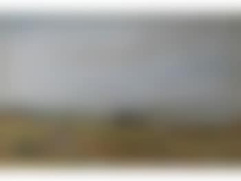 Haymaking (preview)
