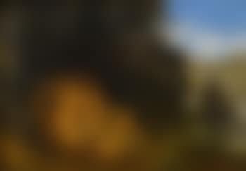 Two Lions In a Cave (preview)