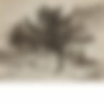 Trees under mountain (preview)