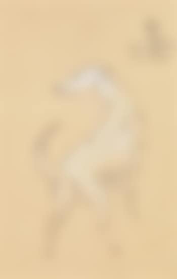 Le labrador (preview)