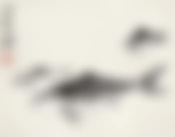 Fish (preview)