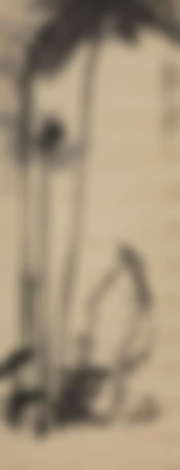 Lotus And Bird (preview)