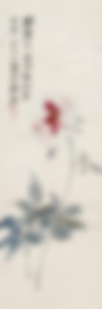 Chinese Peony (preview)