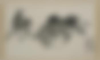 Three donkeys (preview)