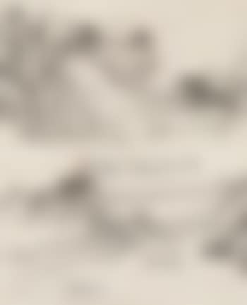 Landscape (preview)
