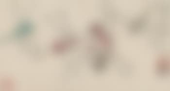 Dragonflies (preview)