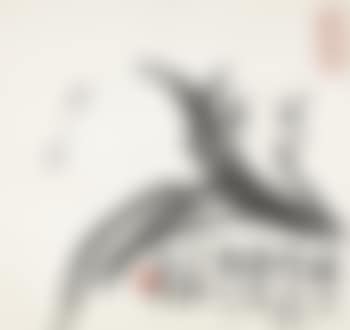 Orchids (preview)