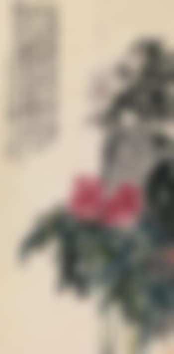 Chinese Peony (preview)