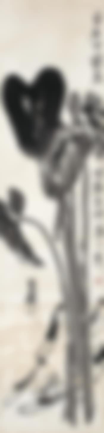 Shrimp Swimming (preview)