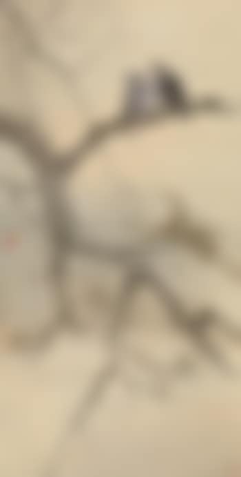 Double Birds On A Branch (preview)
