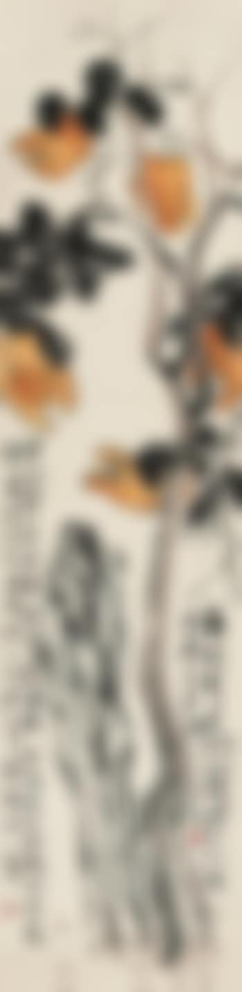 Fingered Citron (preview)