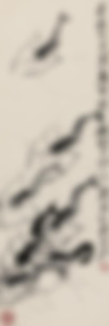 Shrimp (preview)