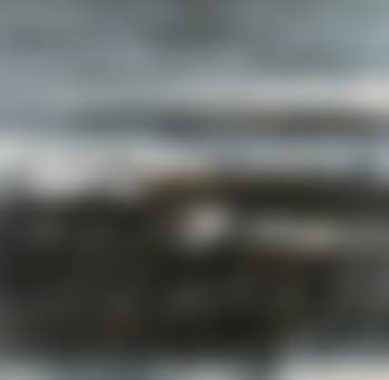 Wild Geese (preview)
