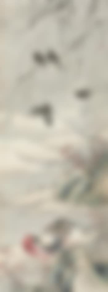 Snow Birds (preview)