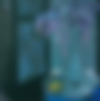 Still Life (preview)
