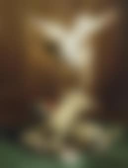 Pug pandemonium (preview)