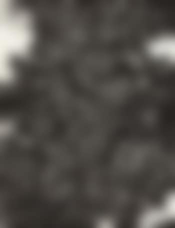 2011.NO.1 (preview)