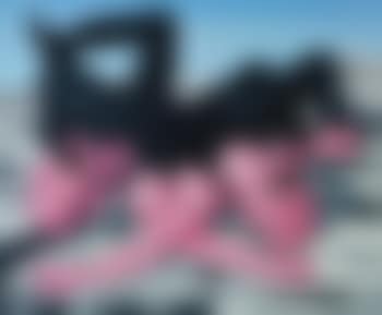 Untitled (preview)