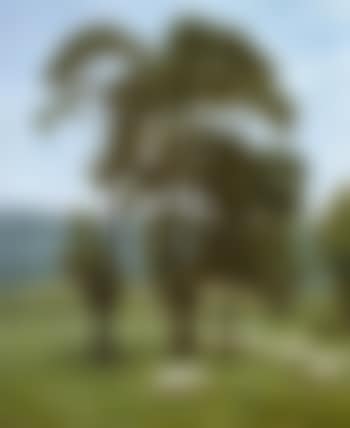 Pastoral (preview)