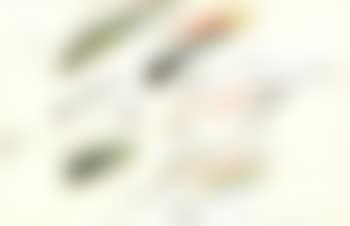 Ohne Titel (preview)
