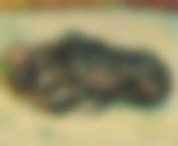 Stillleben mit Hummer (preview)