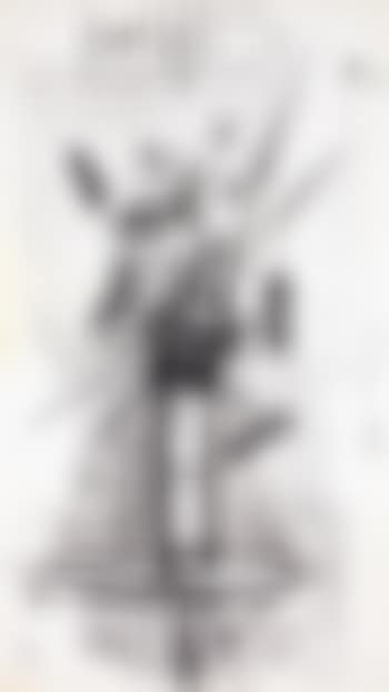 Bouquet de chardons (preview)