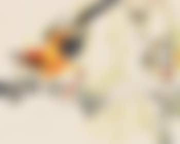 Willow and bird (preview)