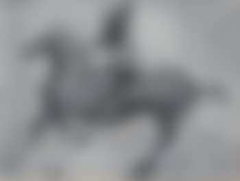 Cavallo e cavaliere (preview)