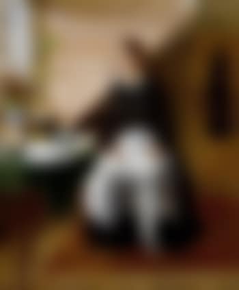 The song of a shirt (preview)