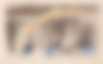 Regatta (preview)