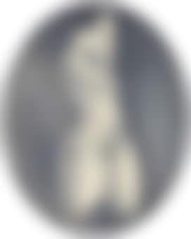 Hermaphrodite (preview)
