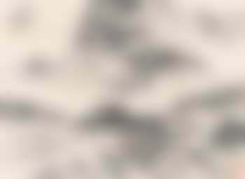 Landscape (preview)