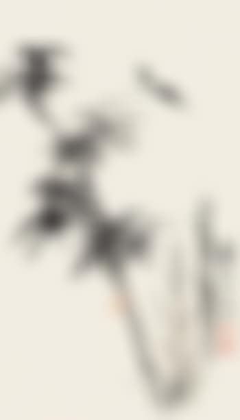 Bamboo (preview)