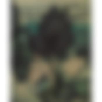 Paysage De Camiers (Pas-de-calais) (preview)