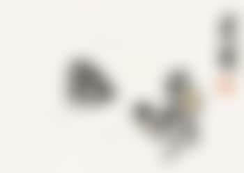 Chicken (preview)