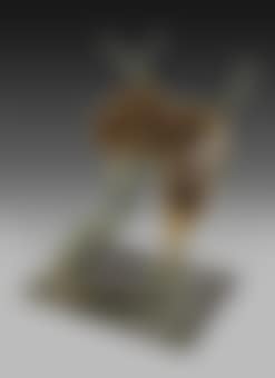 Le Profil Du Temps (preview)