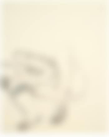 Drawing For Naked Figure (preview)