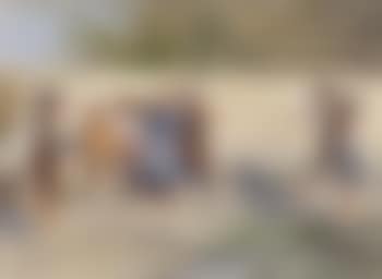 Children playing (preview)