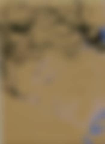 Volto (preview)