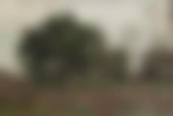 Heathland (preview)