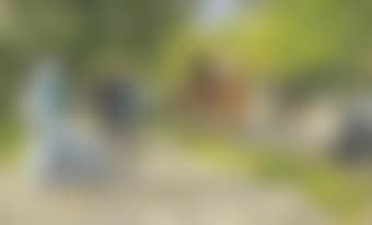 Bois de Boulogne (preview)