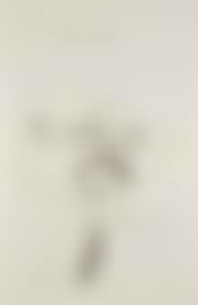 Illustrations for Fourteen Poems by C.P. Cavafy (S.A.C. 47-58; Tokyo 47-58) (preview)