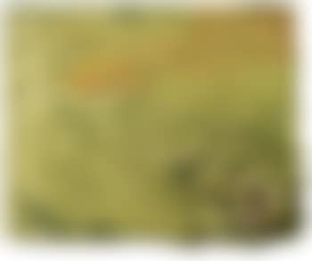 Artichaud III (preview)