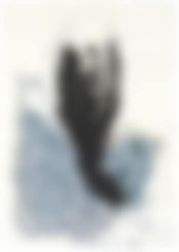 Flasche (Bird) (preview)