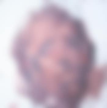 Study Of a Head (preview)