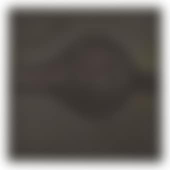 Concetto spaziale, Forma (preview)
