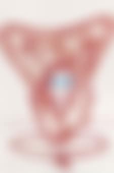 Study in Scarlet (preview)